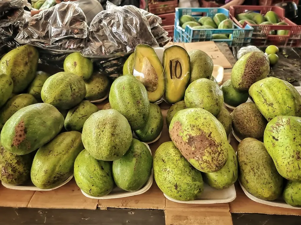 Avocados for sale at a market stall in Mexico, with an advertised price of 10 pesos.