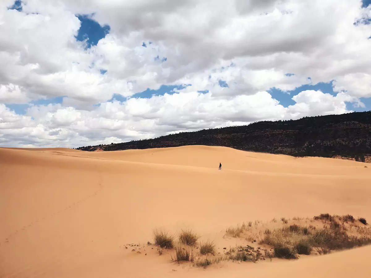 A person hiking through the golden sands at Coral Pink Sand Dunes State Park in Utah.