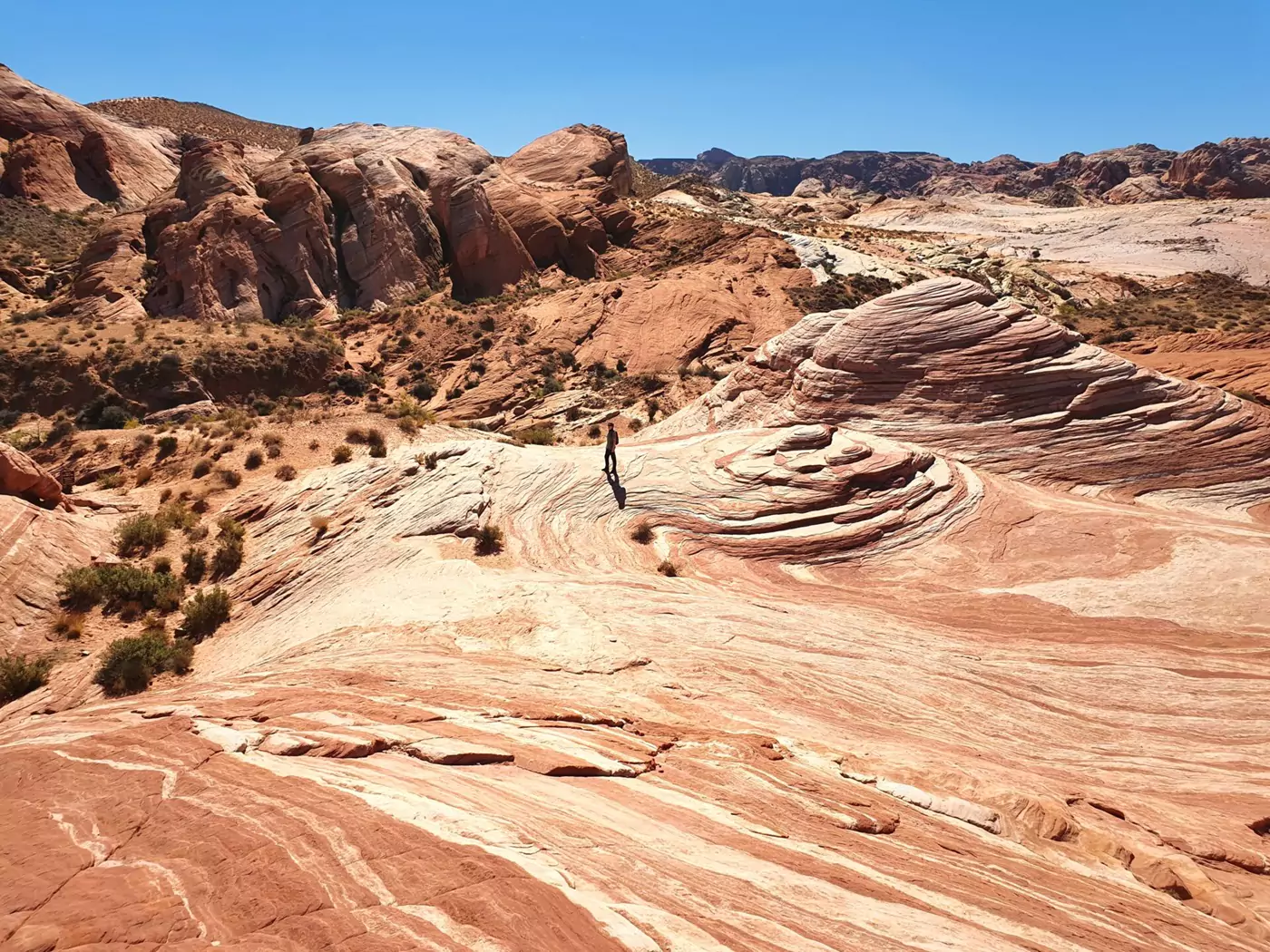 A person standing on a plateau among the sandstone rocks in Valley Of Fire State Park.