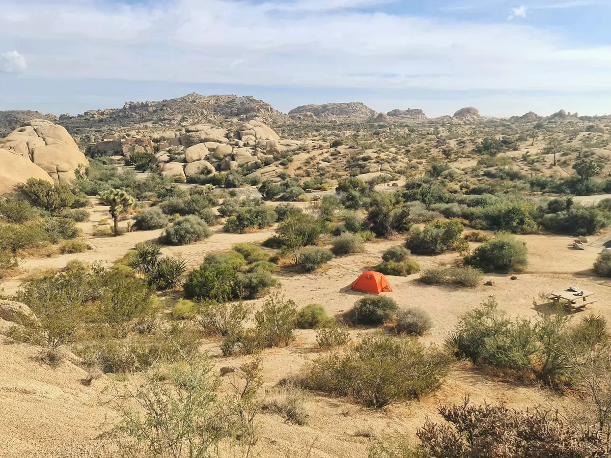 An orange tent in a campsite at Joshua Tree National Park.