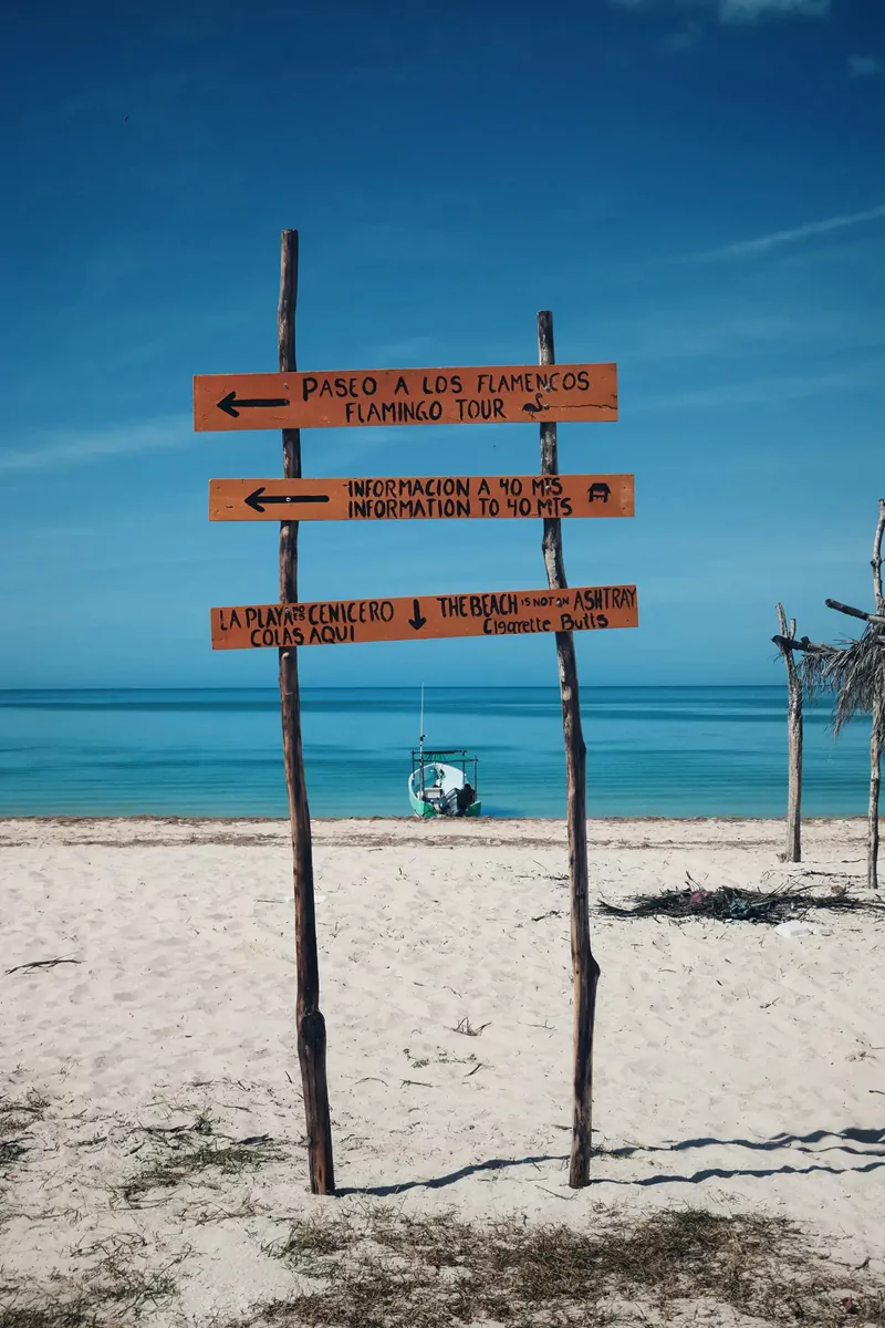 A wooden sign on a beach in Celestun, near Meridaa, advertising in both Spanish and English a local Flamingo Tour and informing of an information point and that 'The beach is not an ashtray'
