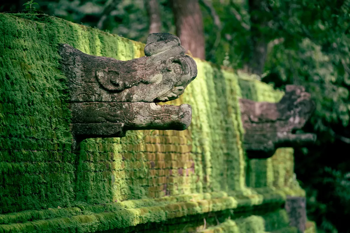 Moss covered ruins in Sri Lanka, showing off the architectural style at Polonnaruwa.