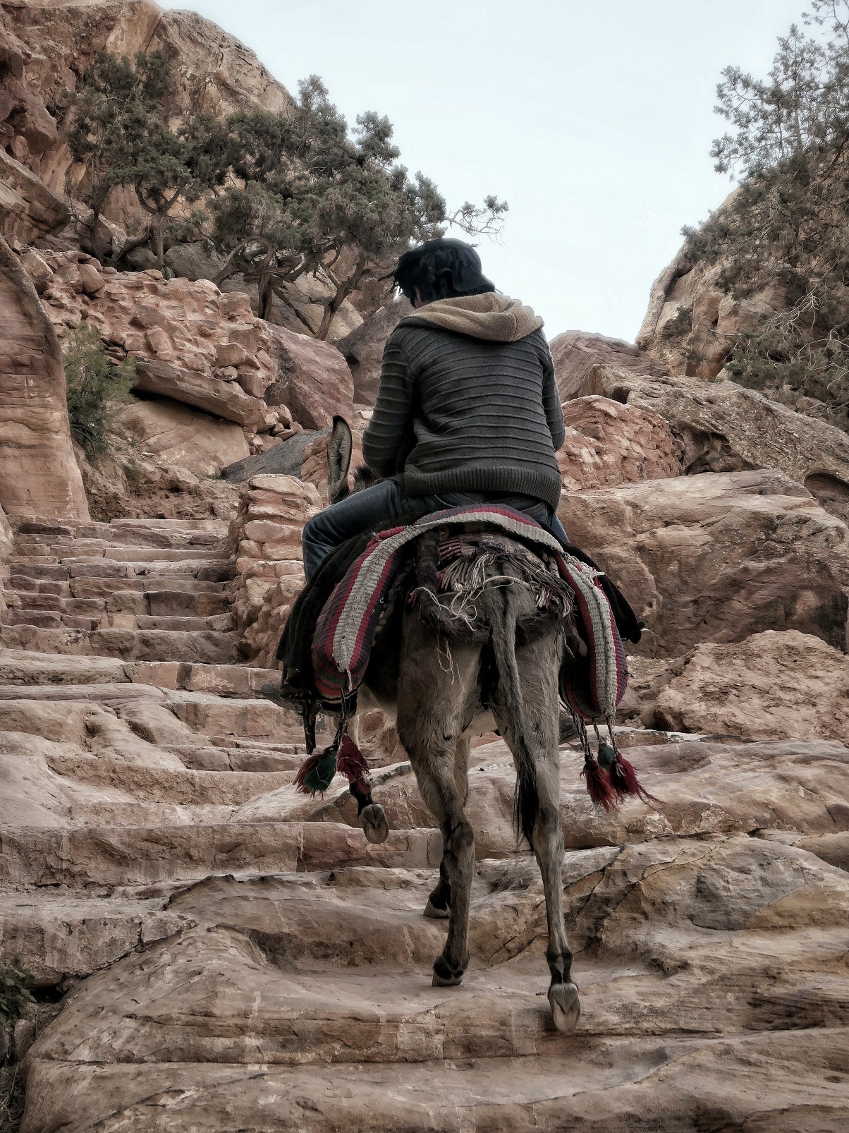 A man and a donkey climbing stairs in Petra