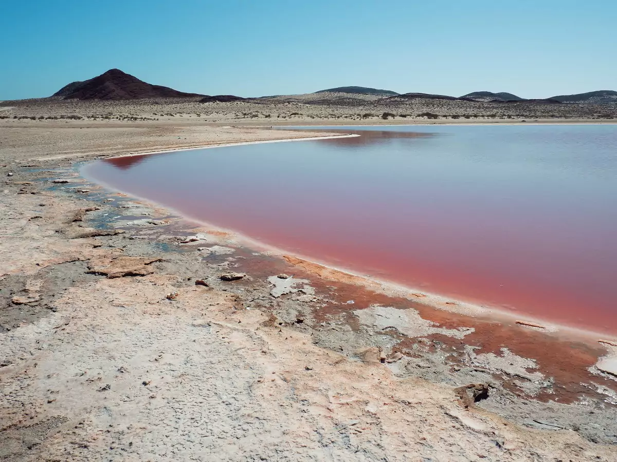 A salt-crusted edge at a pink salt lake in Oman, with reflections of the hills behind.