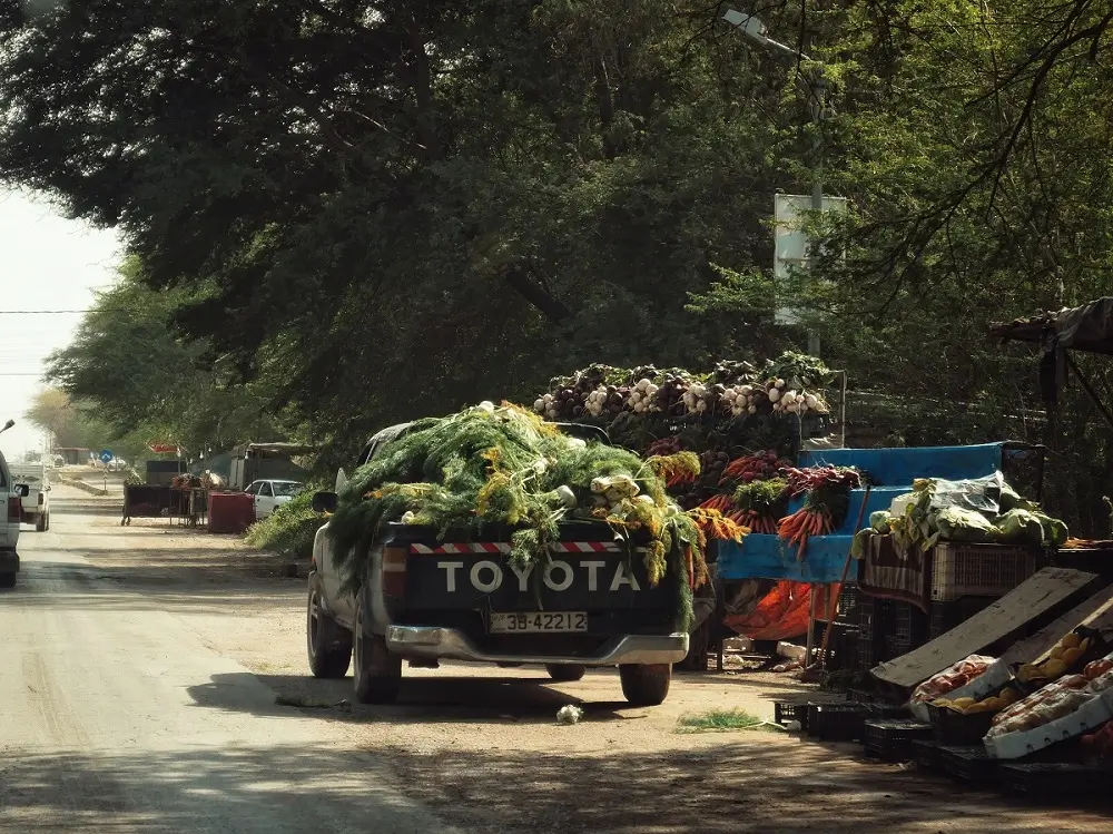 A truck carrying trees driving past produce vendors on the side of the road in a small village in Jordan.