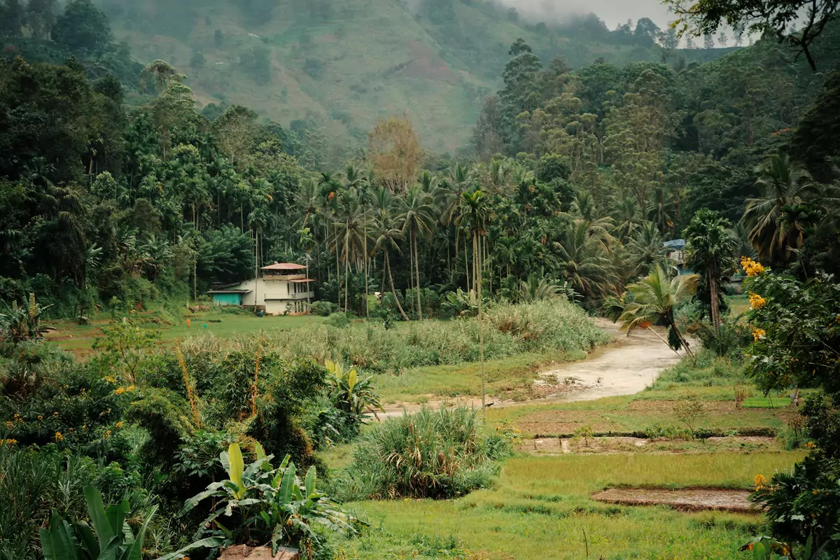 A river flowing through the Sri Lankan countryside - a regular view when backpacking in Sri Lanka.