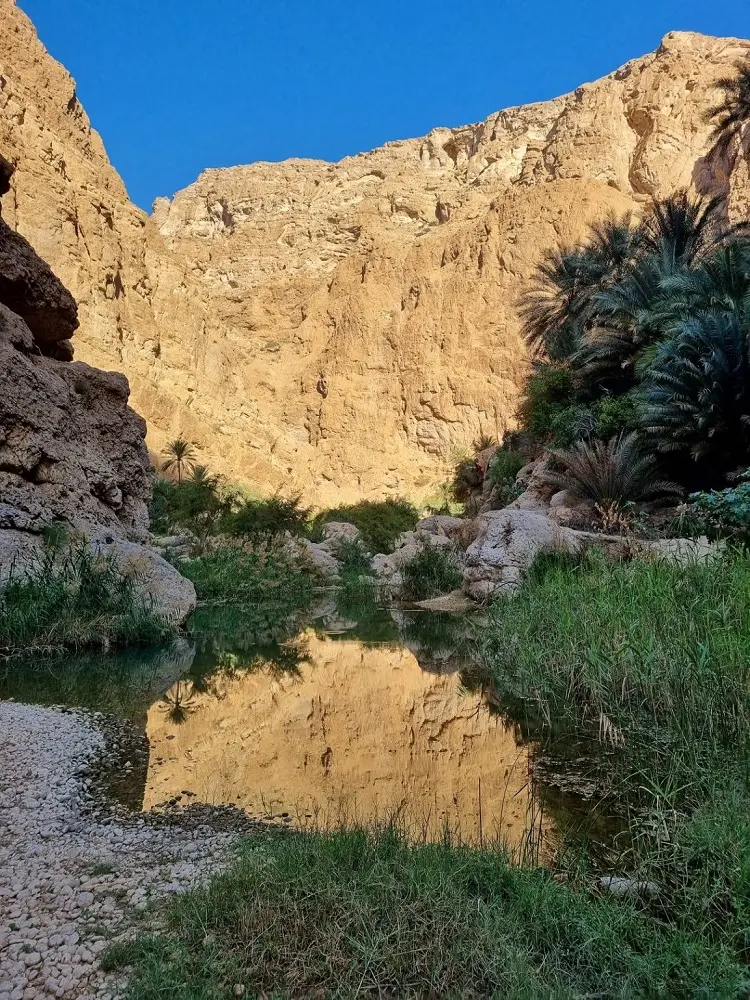 A reflection of the canyon wall in the water at Wadi Shab