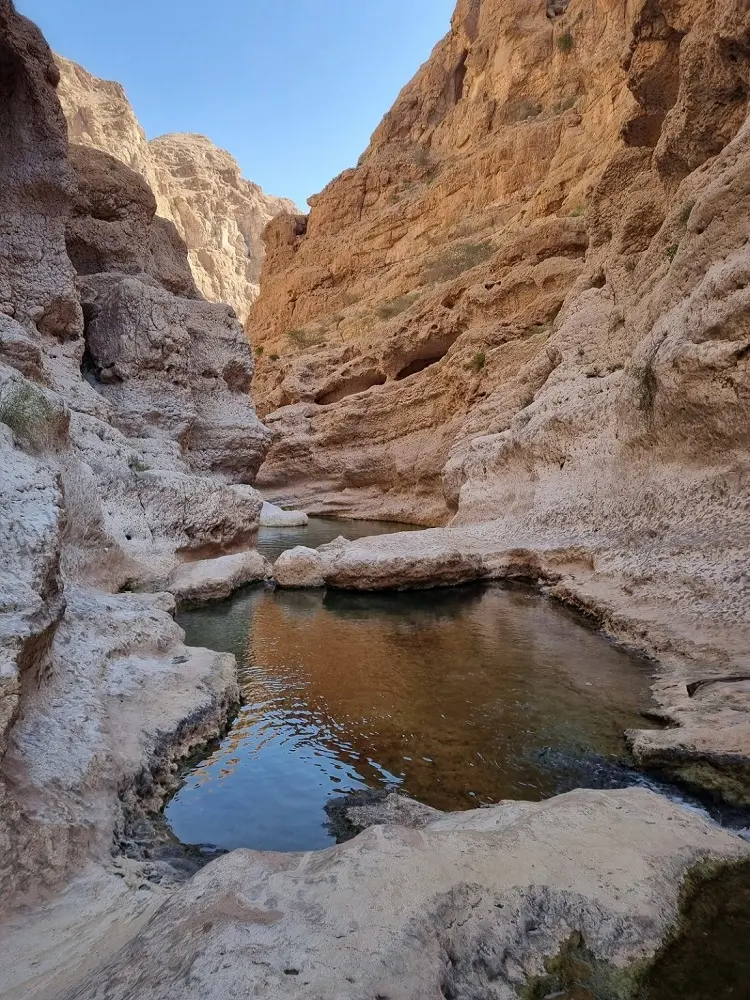 Pools of water at Wadi Shab surrounded by canyon walls