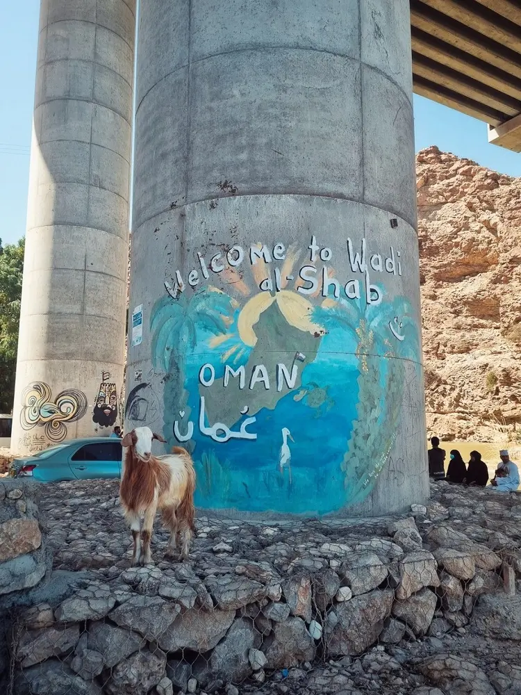 A goat in the car park by a welcome sign at Wadi Shab, Oman.