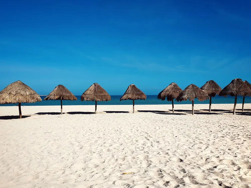 Thatched parasols on a stretch of empty, sandy beach at the coastal town of Progresso.