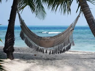 A hammock attached to two palm trees by the beach in Thulusdhoo
