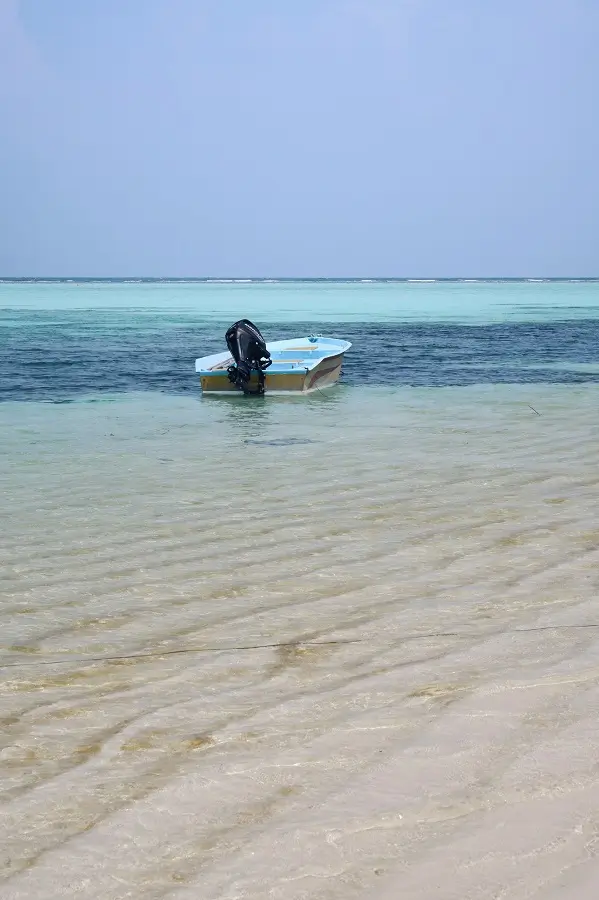 A blue motorboat in the shallow waters of Thoddoo.