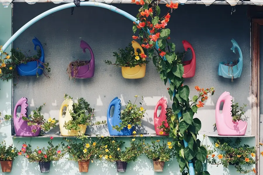 Colourful recycled detergent bottles used as plant pots on the island of Thulusdhoo.