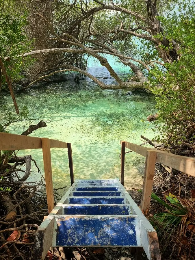 Wooden steps leading down into a hidden area by Thulusdhoo's shore.