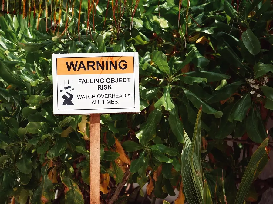 A sign warning of the risk of falling objects (Coconuts) from above on the island of Thulusdhoo.