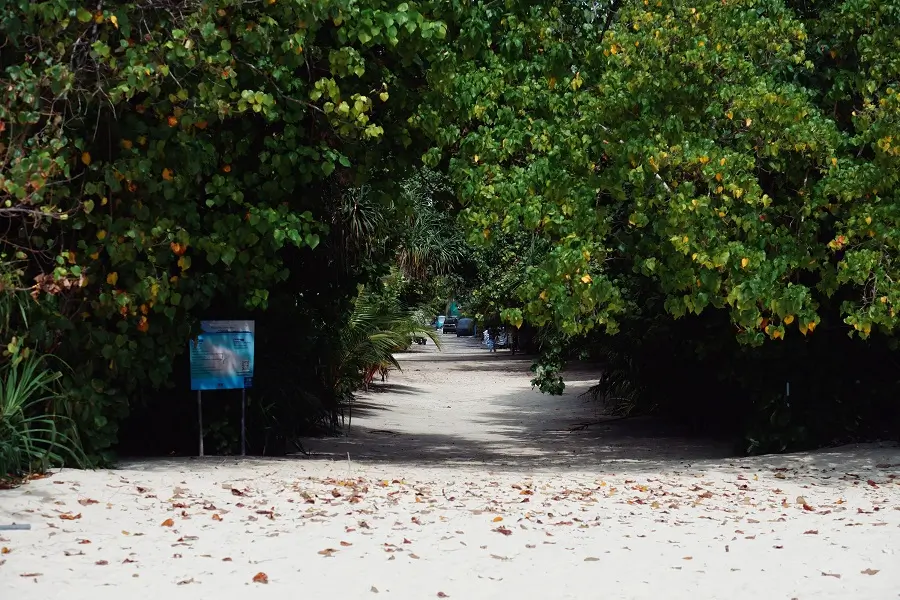 A sandy path leading from the beach into the main area of Ukulhas , partially shaded by trees.