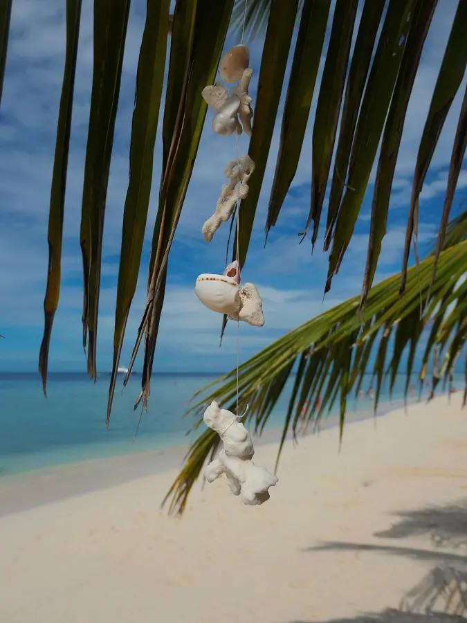 Tree decorations hanging on string from a palm tree by the beach.