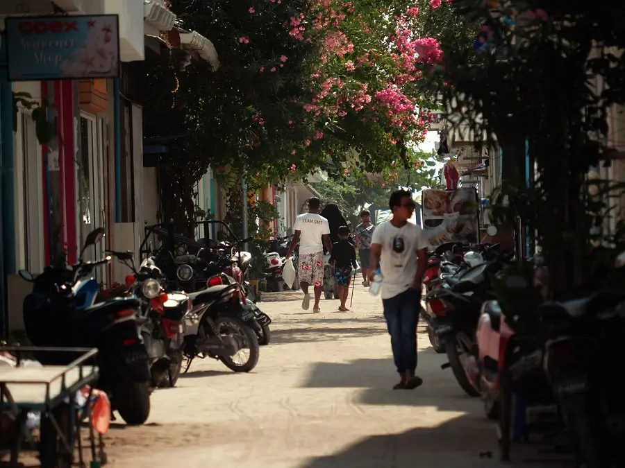 People walking along a busy, tree lined street lined with parked motorcycles either side.