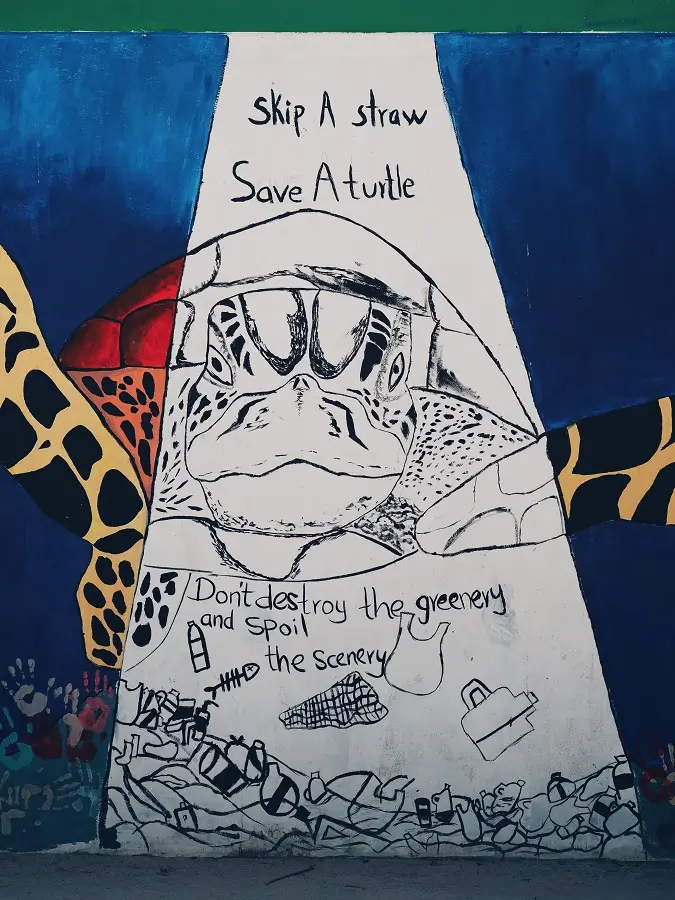 Wall art depicting the costs of throwing rubbish into the waters of Maafushi in the Maldives.