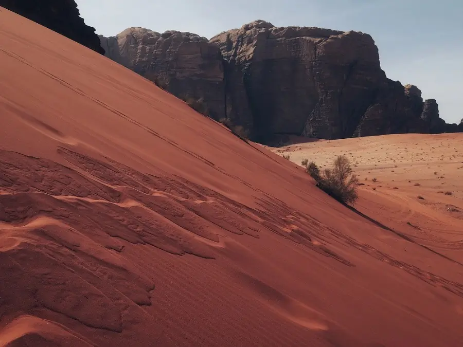 A sloping, red sand dune with tracks and desert shrubs along it, in Wadi Rum, Jordan.