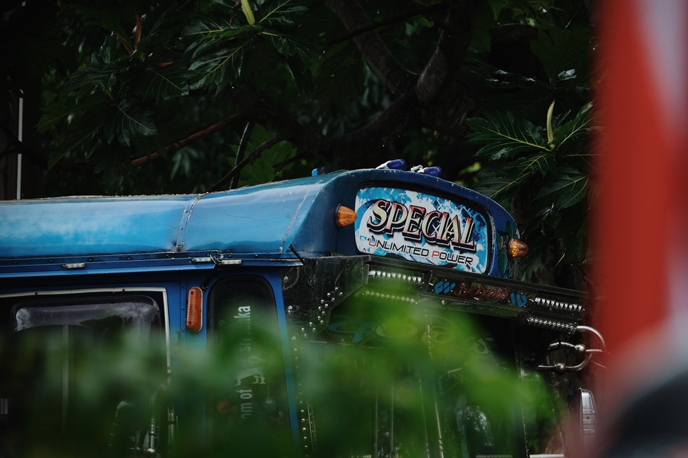 A blue bus in Sri Lanka stopped under thick green foliage.