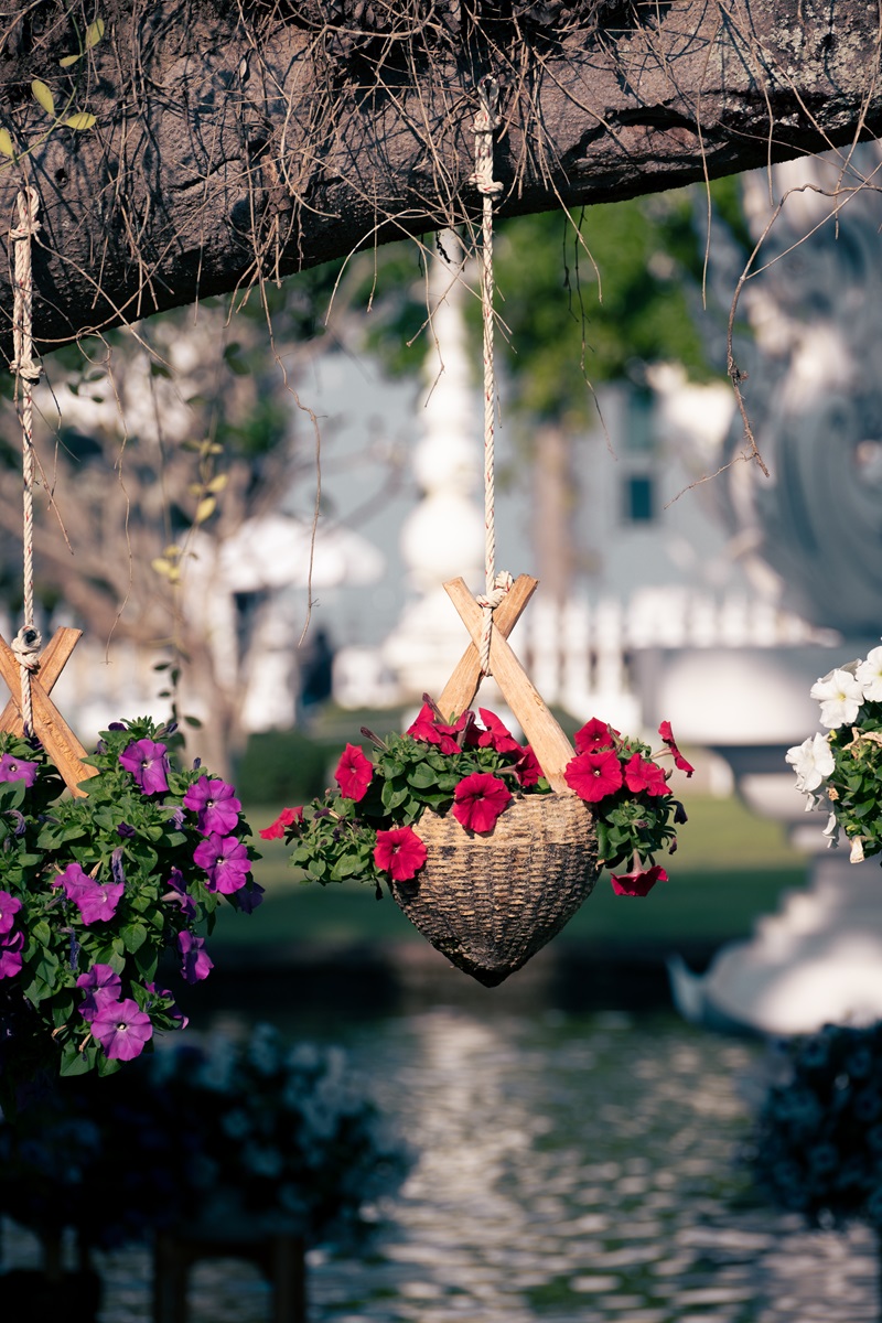 Colourful flowers hanging in woven baskets.