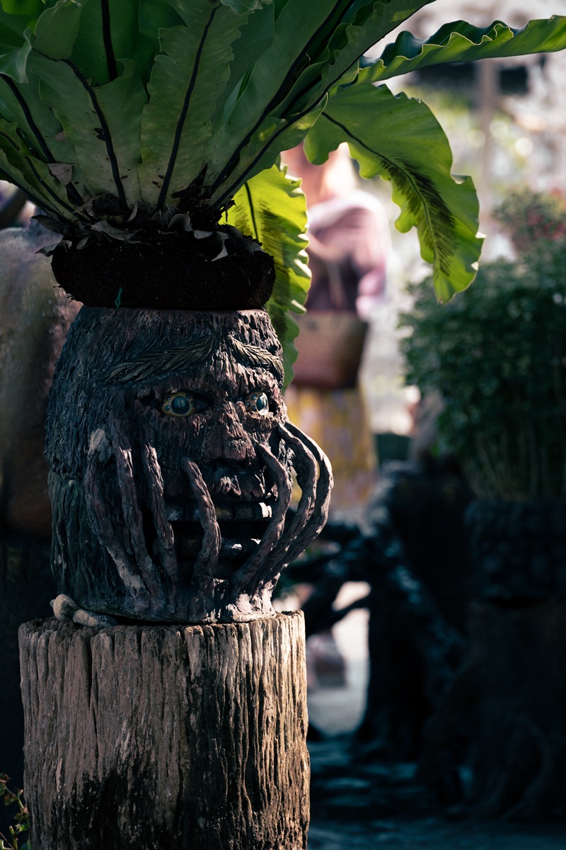 A screaming face with hands over its mouth carved into a tree trunk.
