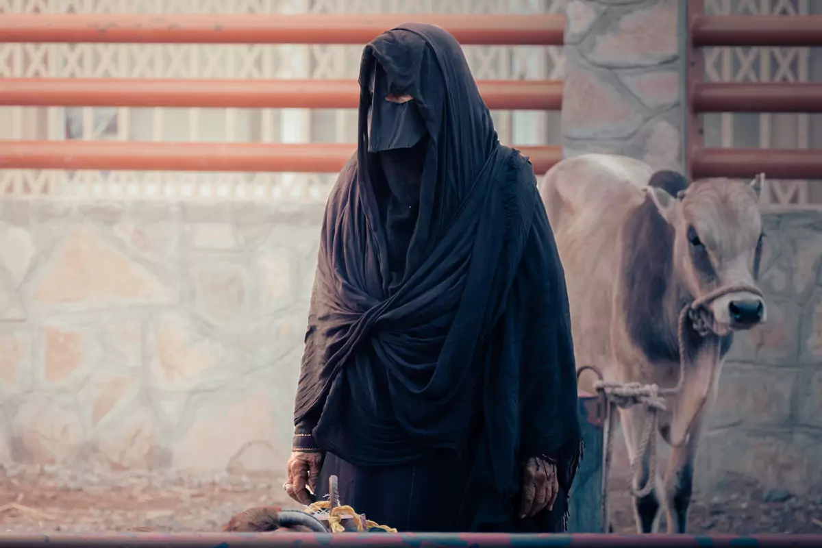 An Omani woman in black wearing a batula at the Nizwa goat market, standing in front of a cow.