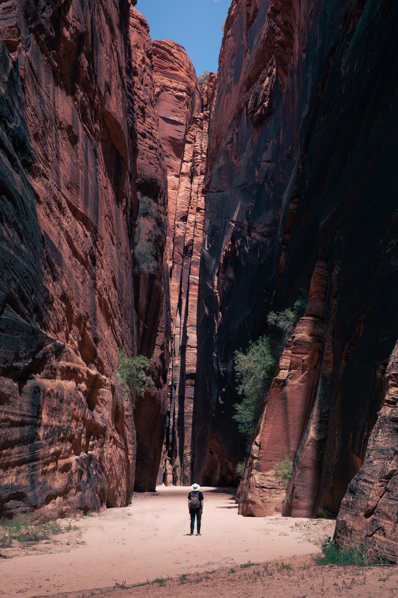 A hiker standing at the base of a canyon with steep cliff walls surrounding them.