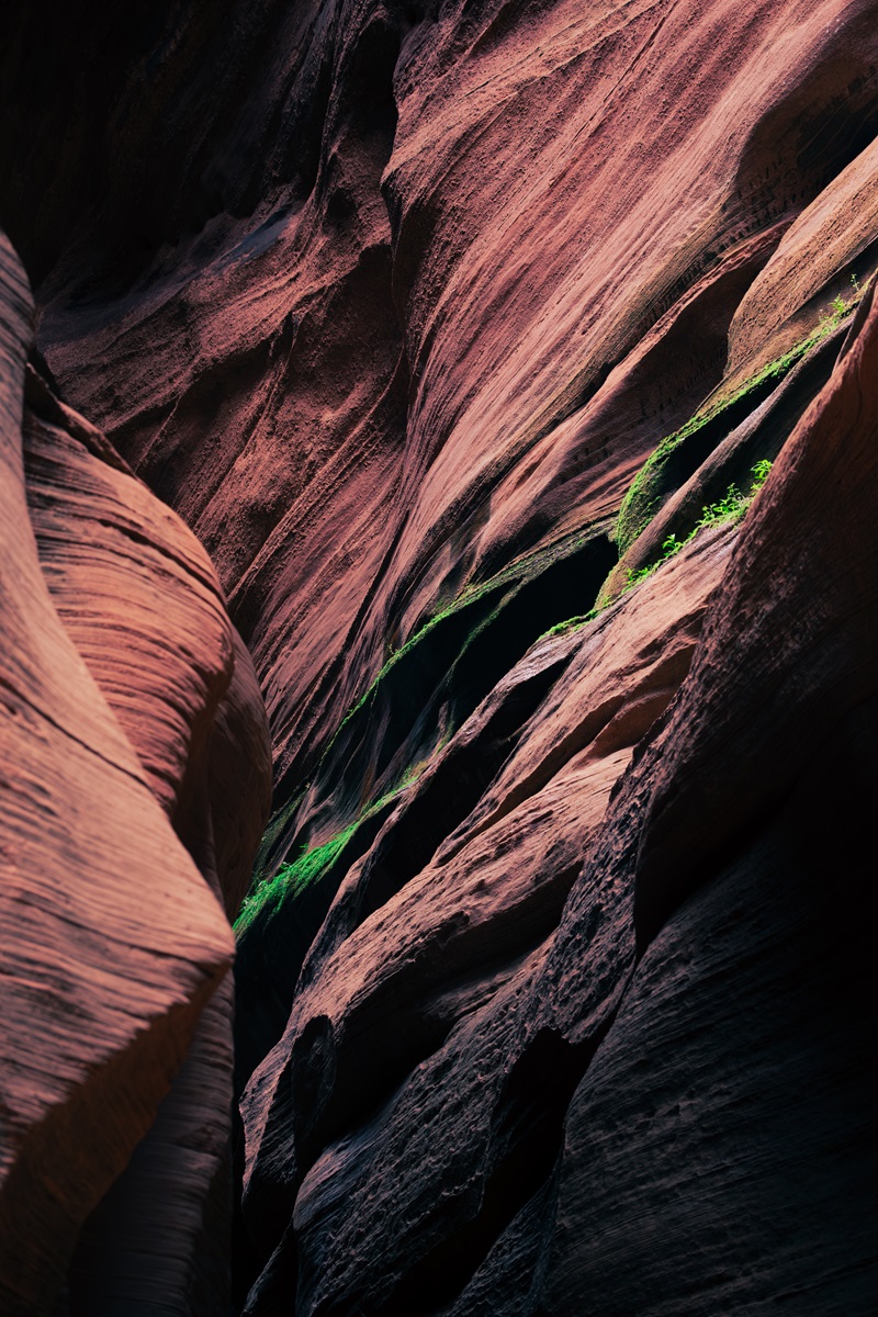 Moss growing on the side of a slot canyon wall lit up by sunlight from an opening above.