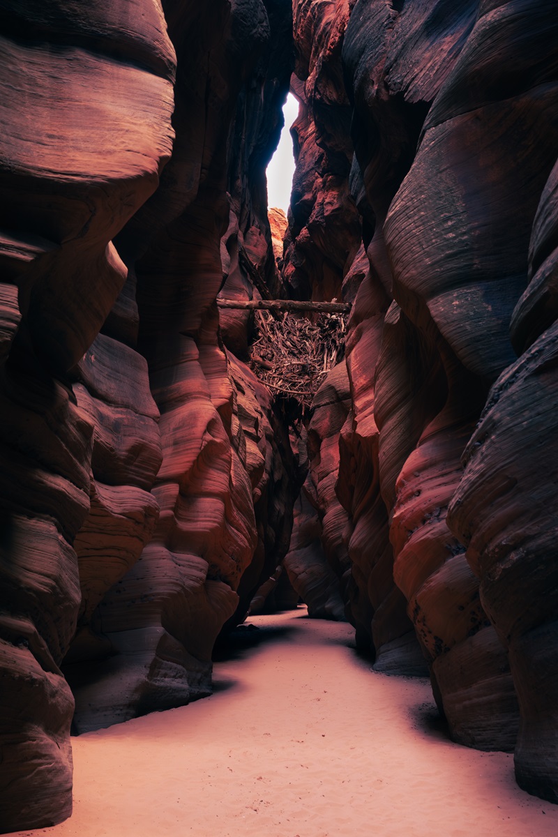 Debris from a flood stuck above the sandy hiking path in the Buckskin Gulch slot canyon.