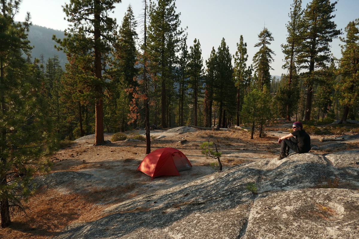 Wilderness camping in Yosemite national Park amongst the tall trees.
