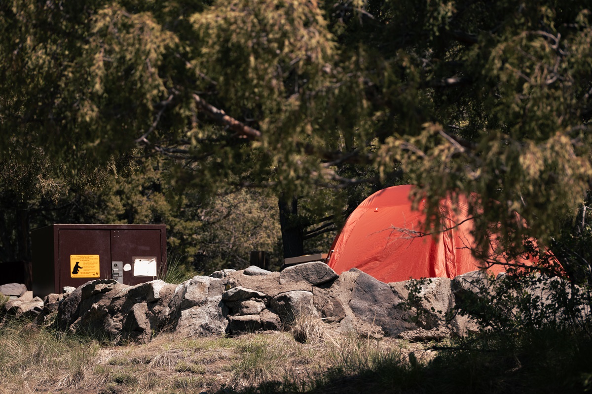 A campground at Great Sand Dunes National Park with a bear locker for storing food and other 'smelly' items.