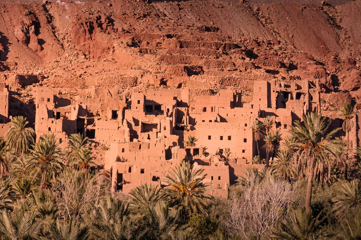 An abandoned mudbrick village, glowing orange in the sunlight, in a date palm valley.