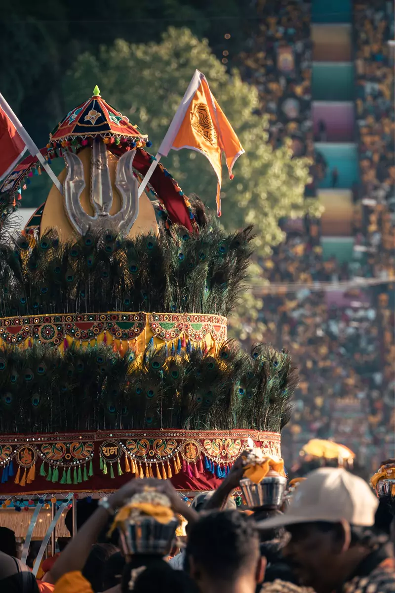 Orange flags and hundreds of peacock feathers adorning a kavadi at Thaipusam at the Batu Caves, with the famous colourful steps in the background.