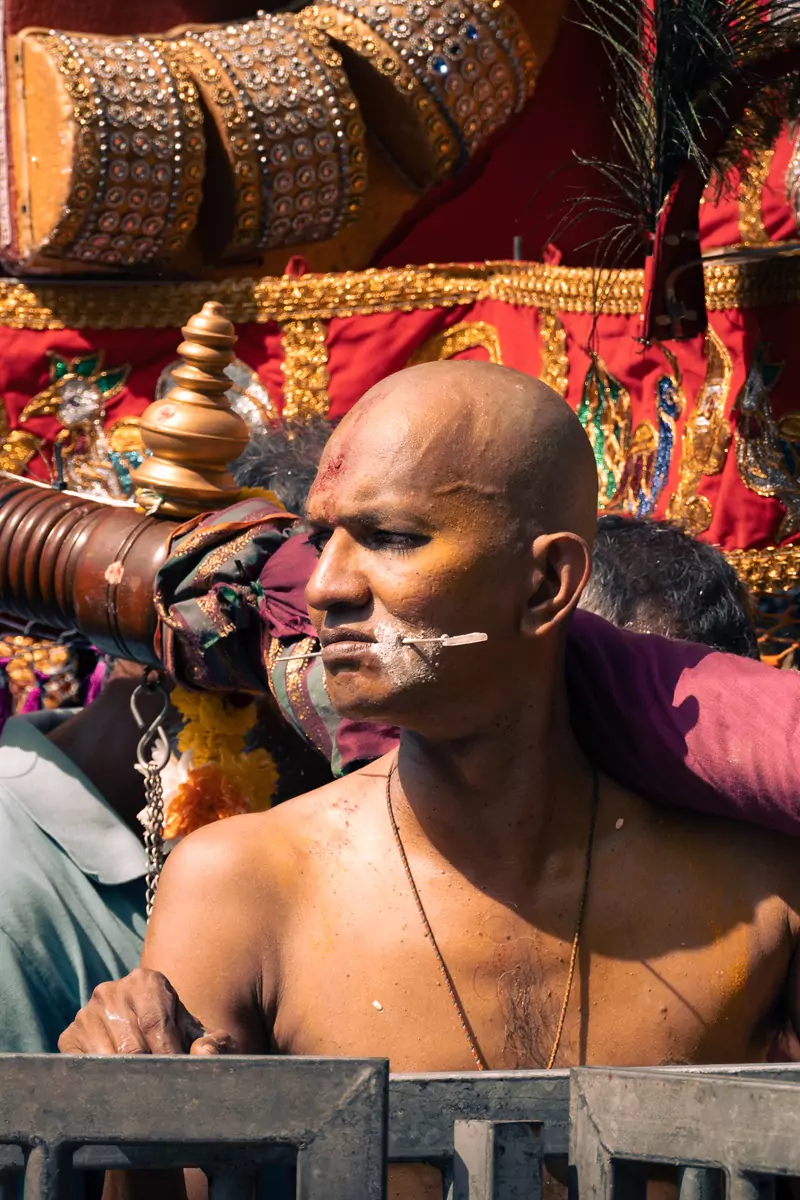 A bare-chested devotee at Thaipusam with a small 'Vel' skewer through their cheeks and white Holy Ash on the wounds.