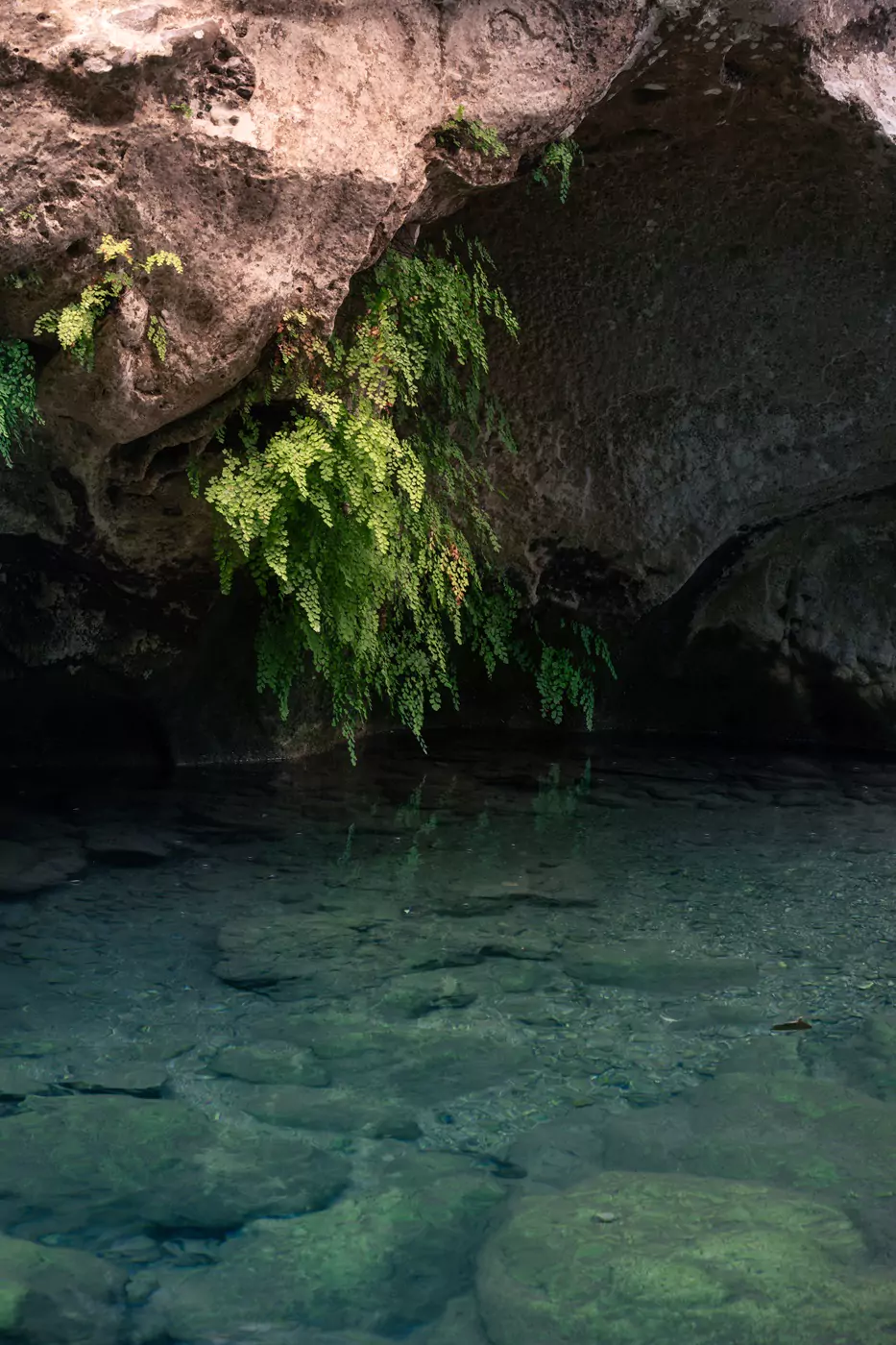 Ferns growing over the clear blue waters of Akchour Falls near Chefchaouen, Morocco.
