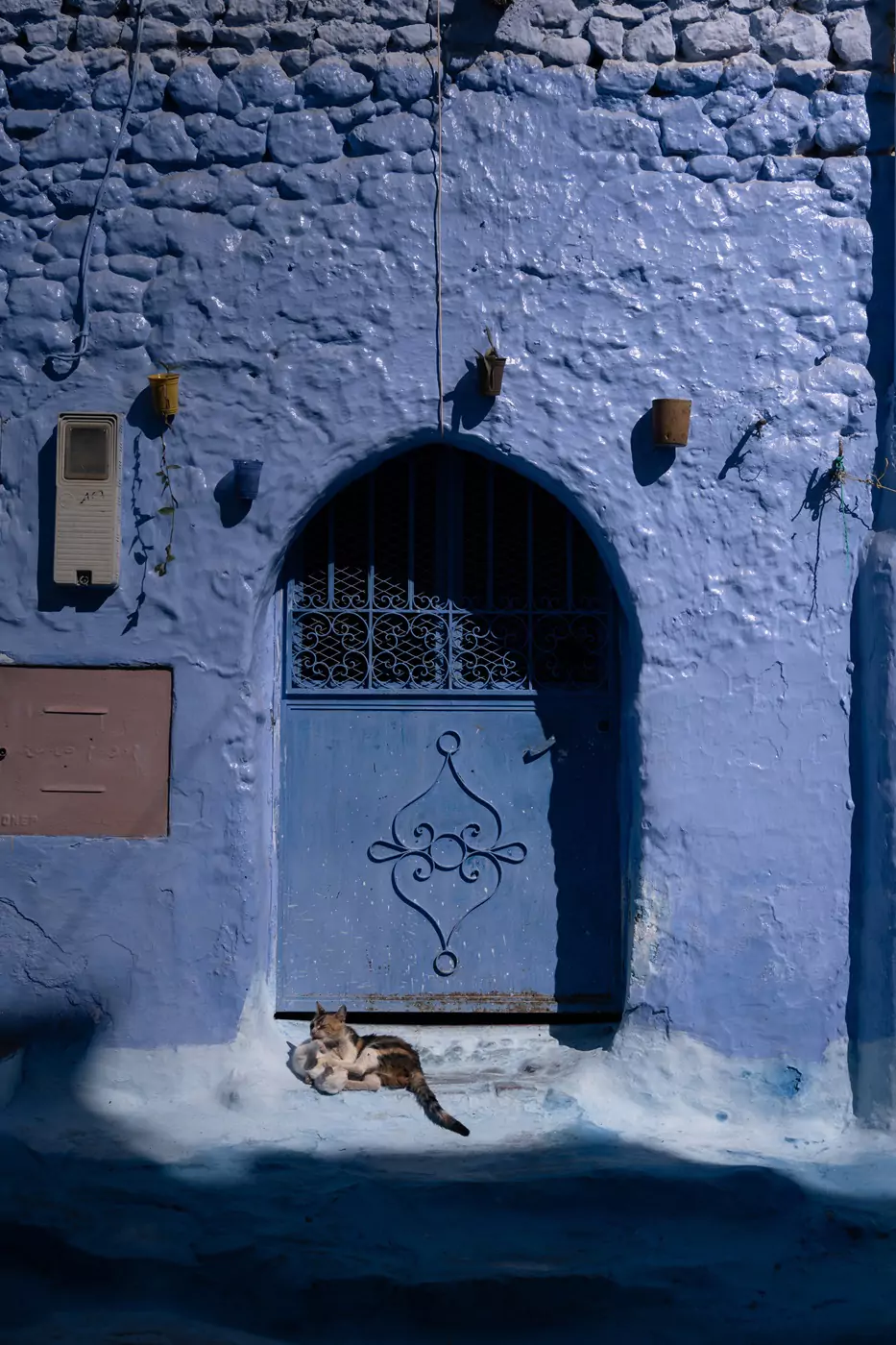 A cat and its kitten laying in the sun outside a blue metal door in the city of Chefchaouen in Morocco.