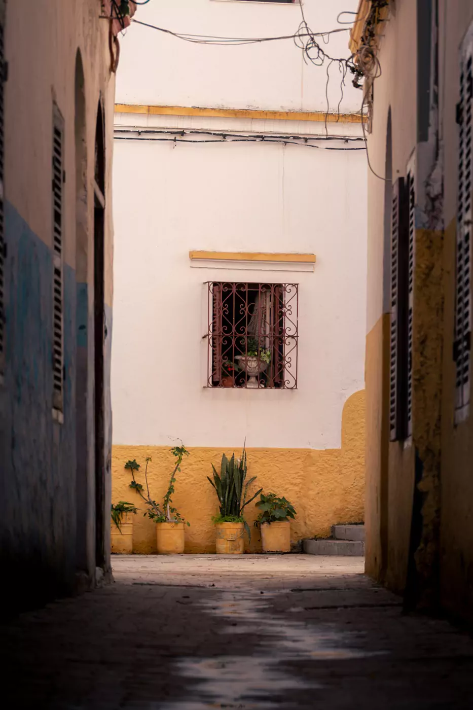 Yellow pot plants outside a home in Tangier, Morocco.