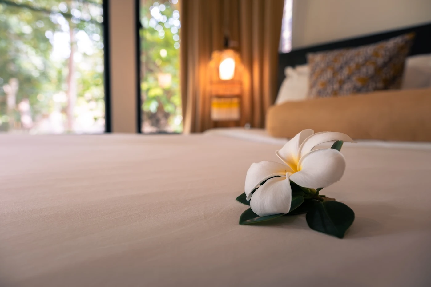 A flower used as a hotel bedroom decoration for arriving guests, laid on the bed.