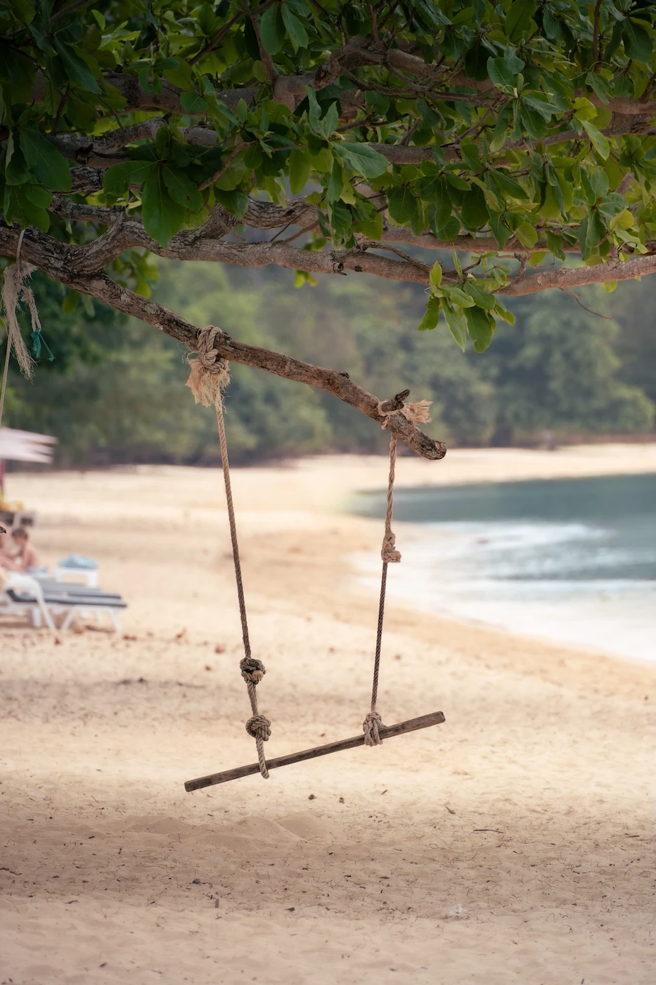 A swing set up in the trees at Lo Pared Beach.