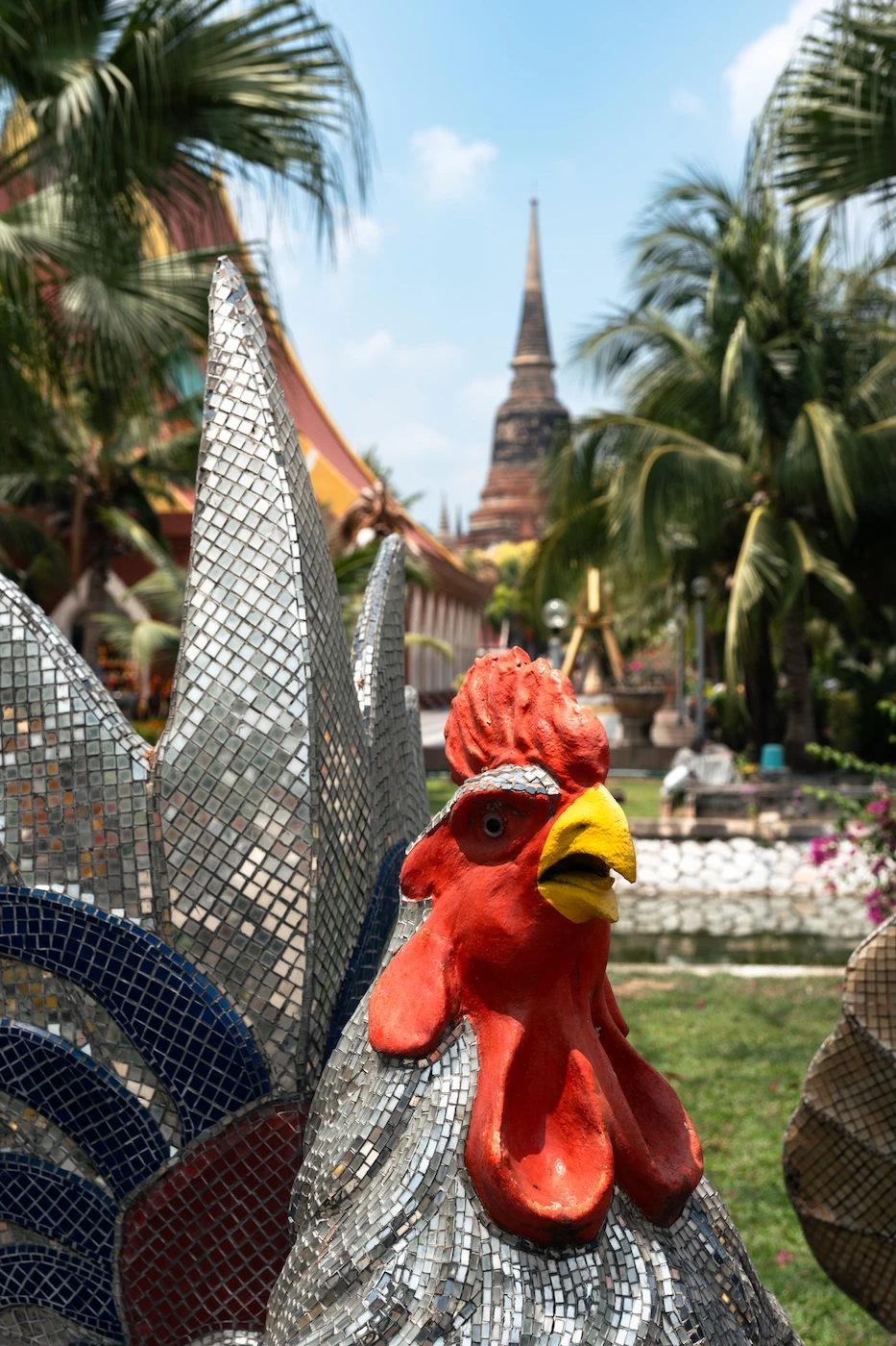 A rooster statue in the harsh mid-day sun at a temple in Ayutthaya.