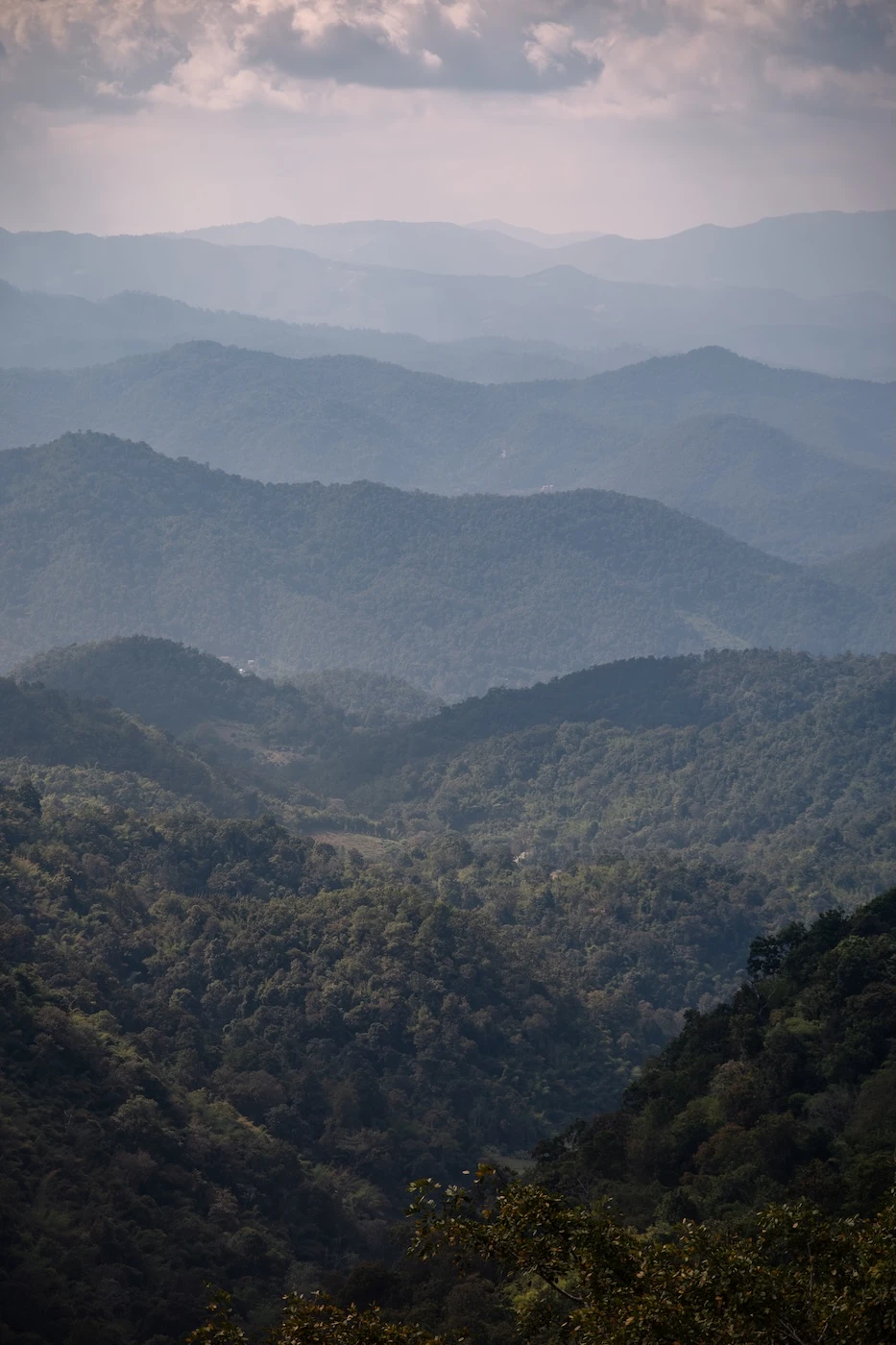 Forested scenery along the Samoeng Loop outside Chiang Mai, Thailand.