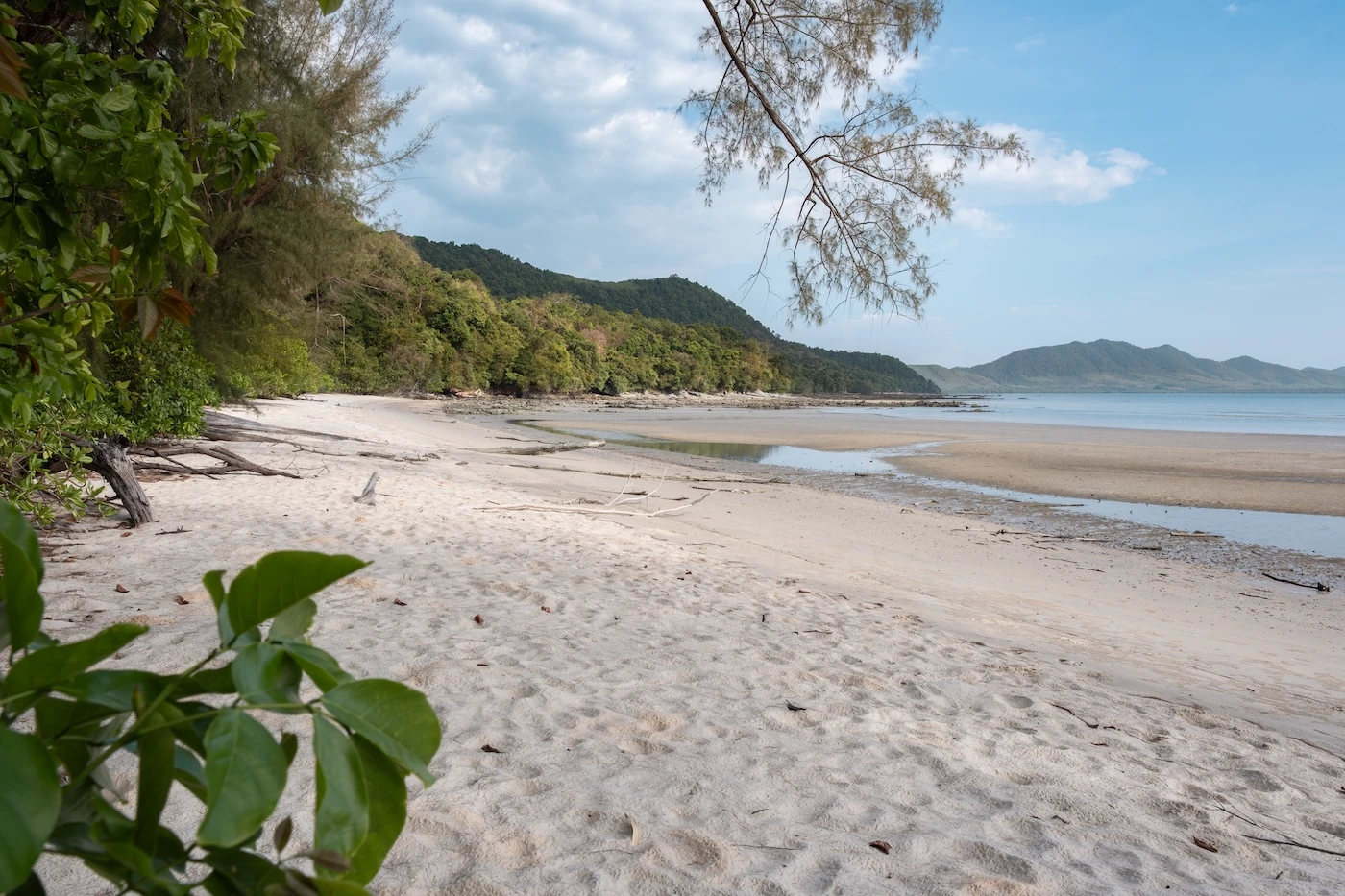 Tree-lined empty soft sand at Son Bay Beach in Koh Yao Yai, Thailand.