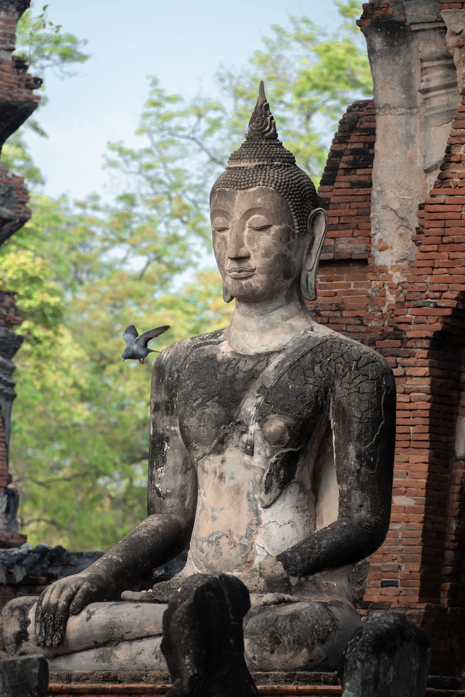 A serene looking Buddha statue in the seating position in a ruin at Ayutthaya Historical Park.